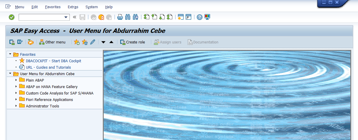 Sap Abap As